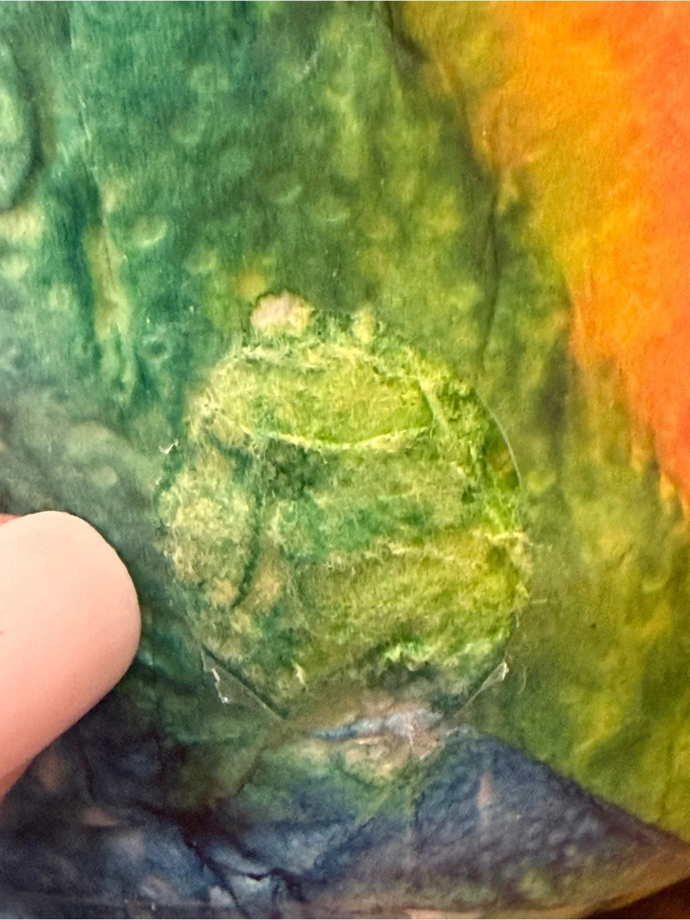 Novelty rainbow-colored, tie-dyed toilet paper W/ label TDTP & Oregon Made